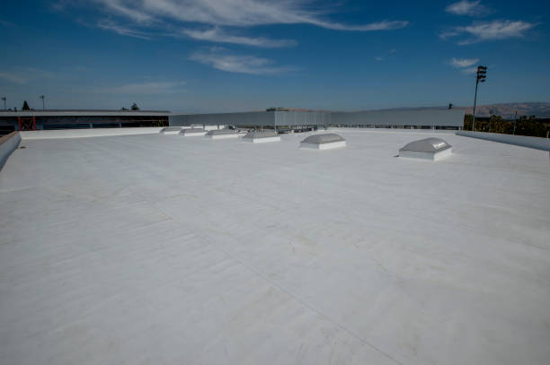 Best Sheet Metal Roofing  in USA